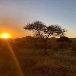 Meet your Posher, Theresa